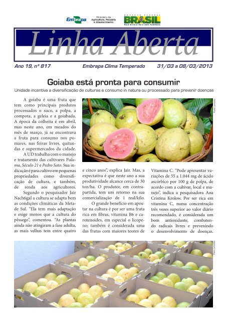Goiaba está pronta para consumir - Embrapa Clima Temperado