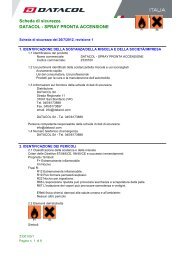 Z330100 SPRAY PRONTA ACCENSIONE.pdf - Datacol