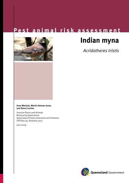 Indian myna pest risk assessment - Department of Primary Industries