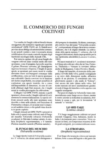 IL COMMERCIO DEI FUNGHI COLTIVATI - Veneto Agricoltura