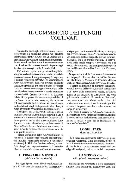 IL COMMERCIO DEI FUNGHI COLTIVATI - Veneto Agricoltura