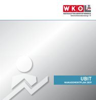 UBIT-Managementplan 2009 - Wirtschaftskammer Österreich