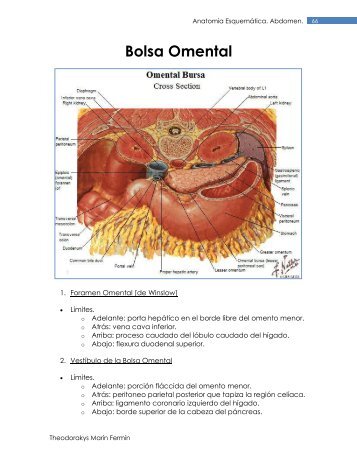 Bolsa Omental