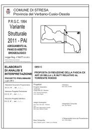 geo c relazione art 29 - Comune di Stresa