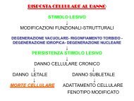 Necrosi e apoptosi