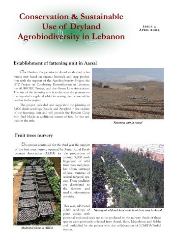 Issue 4- English - UNDP in Lebanon