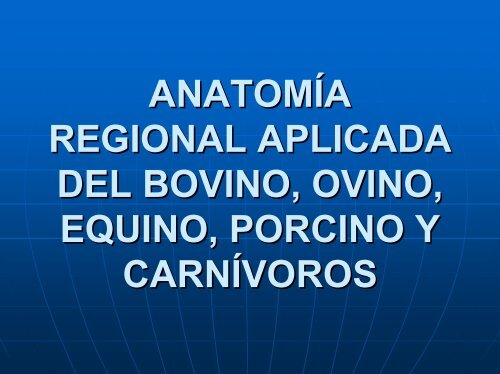 Organos post diafragmáticos