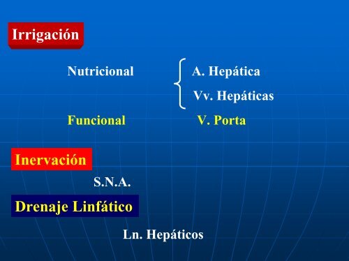 Organos post diafragmáticos