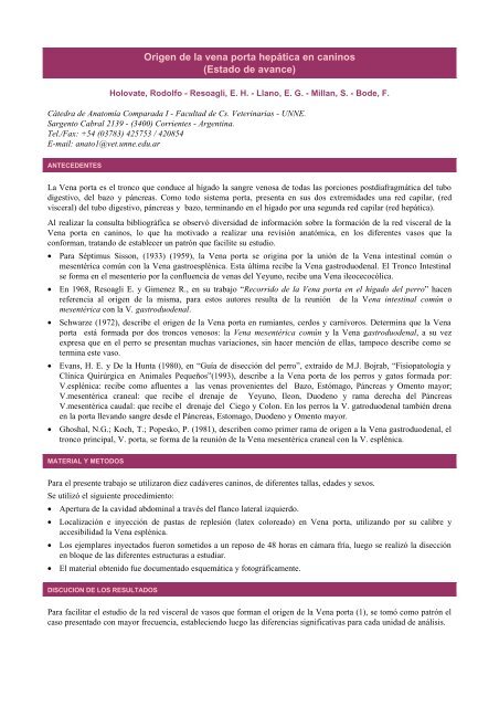 Origen de la vena porta hepática en caninos (Estado de avance)