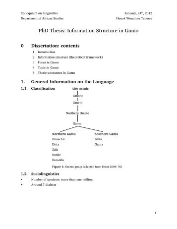 Information Structure in Gamo