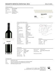 BAGANTE MENCÍA JOVEN Red 2011 - Lahvino