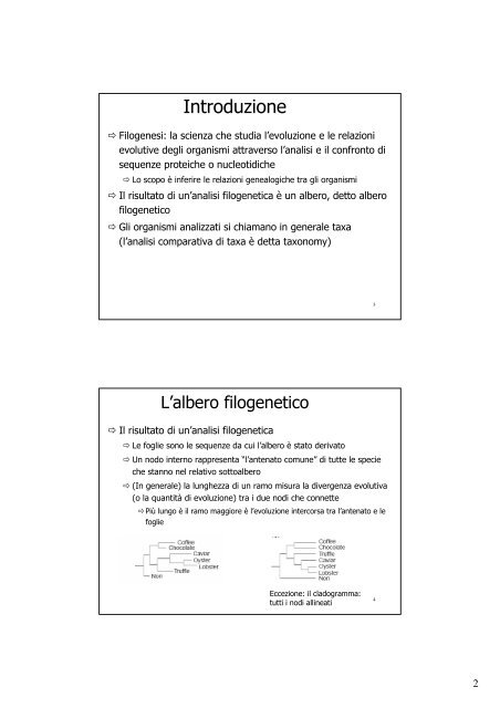 12. Filogenesi (pdf, it, 269 KB, 6/7/10)