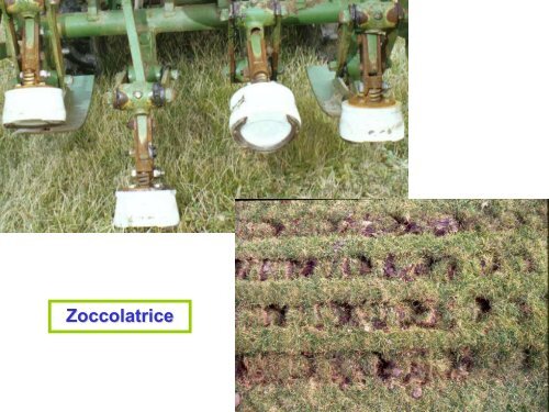 La misura delle prestazioni dei tappeti erbosi