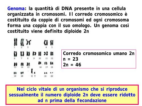 la riproduzione nelle piante terrestri - Biologia Vegetale