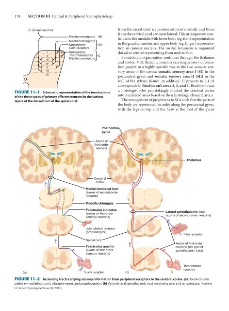 Ganong's Review of Medical Physiology, 23rd Edition