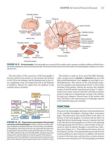 Ganong's Review of Medical Physiology, 23rd Edition