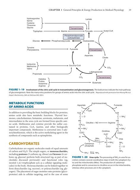 Ganong's Review of Medical Physiology, 23rd Edition