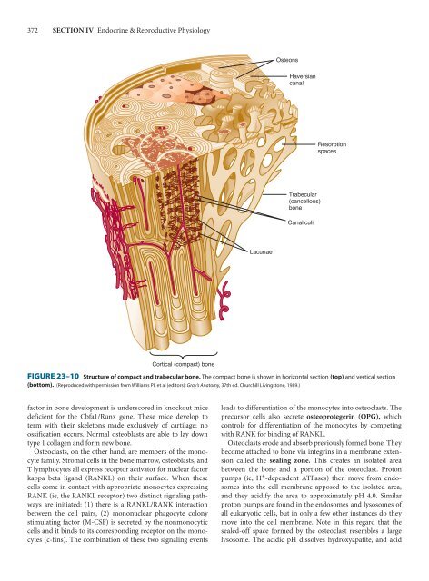 Ganong's Review of Medical Physiology, 23rd Edition