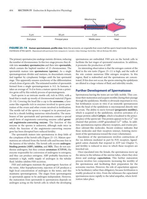 Ganong's Review of Medical Physiology, 23rd Edition