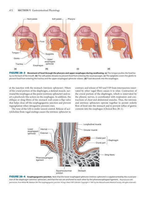 Ganong's Review of Medical Physiology, 23rd Edition