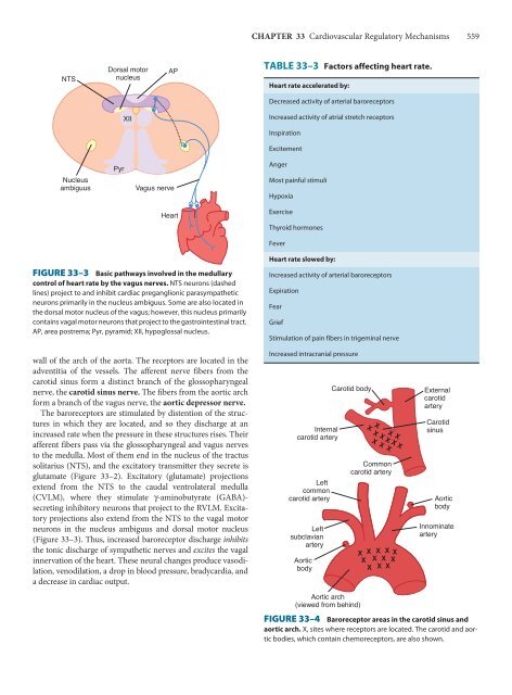 Ganong's Review of Medical Physiology, 23rd Edition