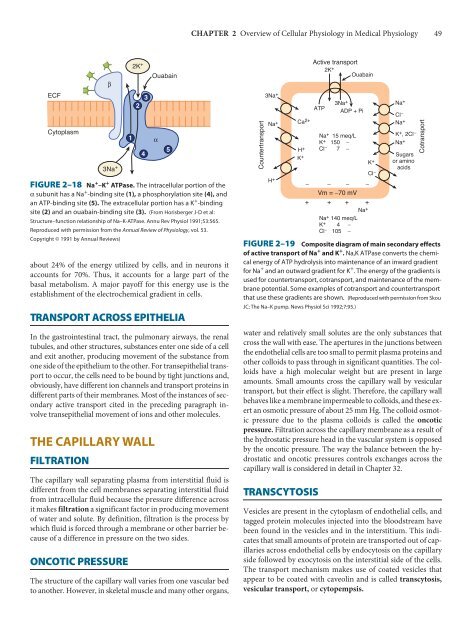 Ganong's Review of Medical Physiology, 23rd Edition