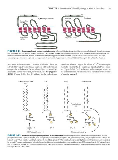 Ganong's Review of Medical Physiology, 23rd Edition