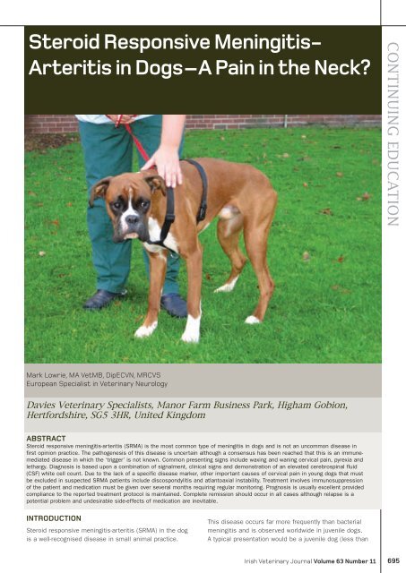 Steroid responsive Arteritis in dogs - Veterinary Ireland ...