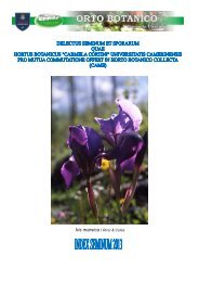 Iris marsica I.Ricci & Colas. - Università degli Studi di Camerino