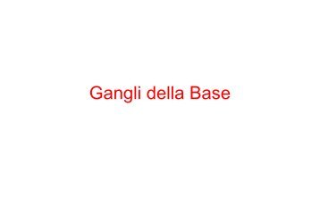 Fisiologia Bove (gangli della base)