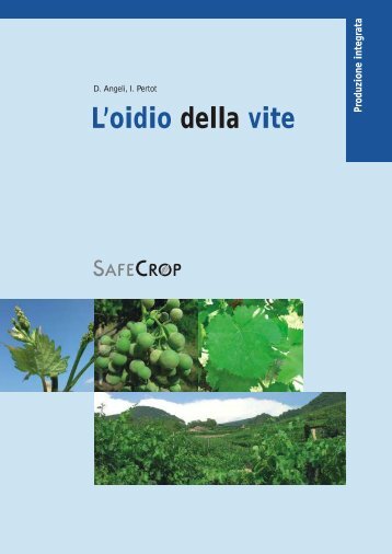 L'oidio vite della