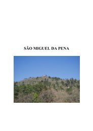 Vila Real - São Miguel da Pena.pdf - dlac