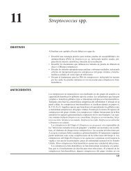 Manual de Pruebas de Susceptibilidad Antimicrobiano - PAHO/WHO