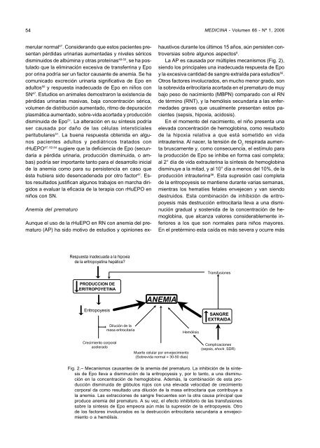 TRATAMIENTO CON ERITROPOYETINA HUMANA RECOMBINANTE