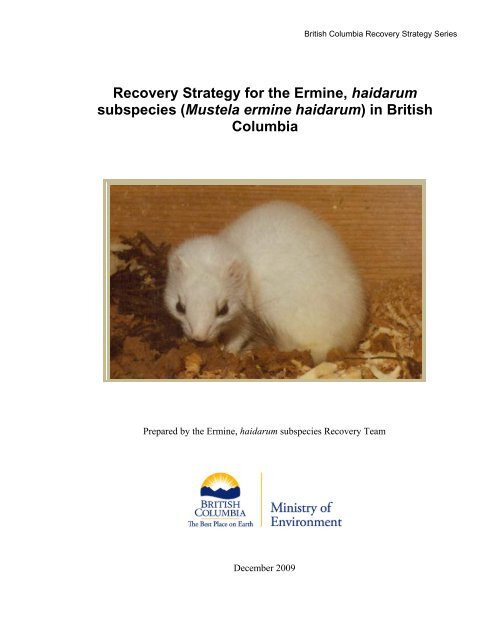 Recovery Strategy for the Ermine, haidarum subspecies (Mustela ...