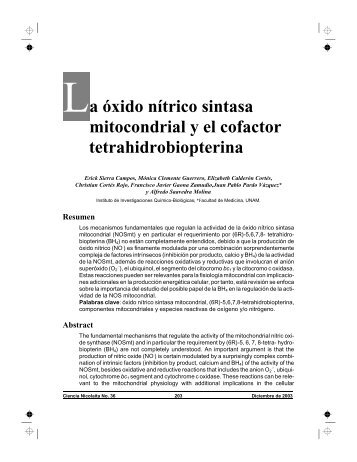 La óxido nítrico sintasa mitocondrial y el cofactor tetrahidrobiopterina