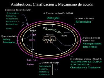 antibioticos macrolidos - Farmacologia Virtual