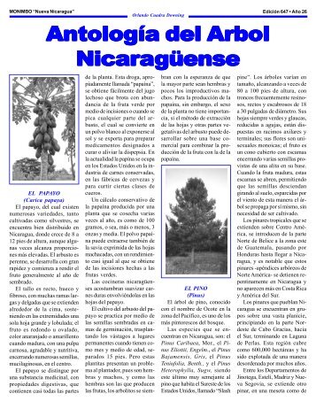 Antología del Arbol.p65 - Monimbo.us