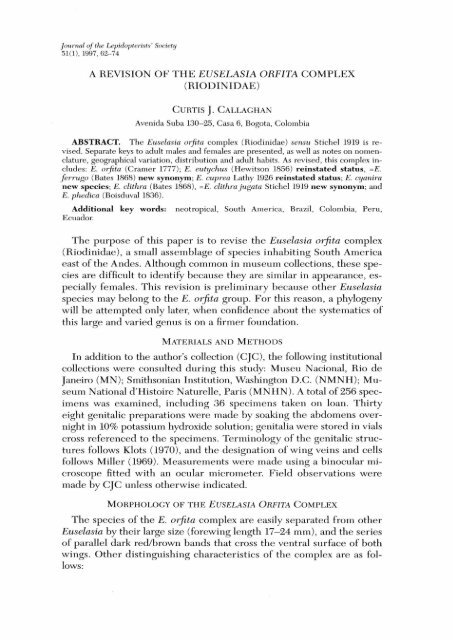 A REVISION OF THE EUSELASIA ORFITA COMPLEX (RIODINIDAE ...