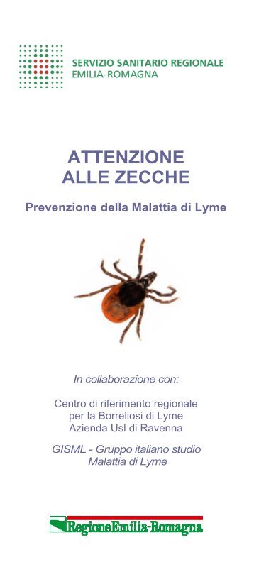 Attenzione alle zecche: prevenzione della Malattia di Lyme - Saluter