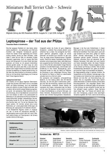 Leptospirose – der Tod aus der Pfütze - Miniature Bull Terrier Club ...
