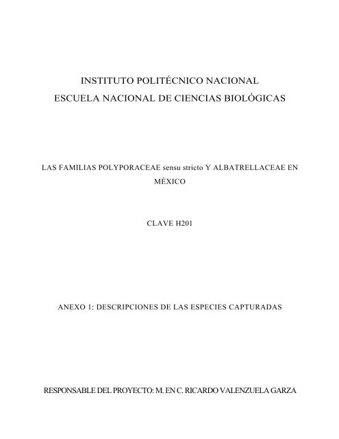 Informe final* del Proyecto H201 Las familias ... - Conabio