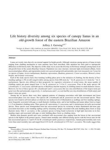 Life history diversity among six species of canopy lianas in an old ...