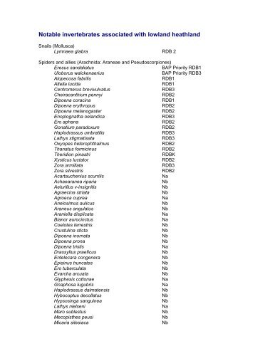 Notable invertebrates associated with lowland heathland - Buglife