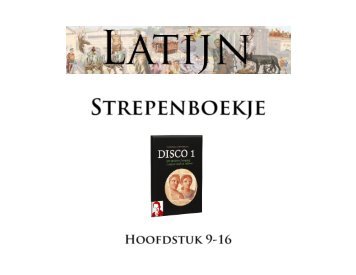 Strepenboekje disco 1