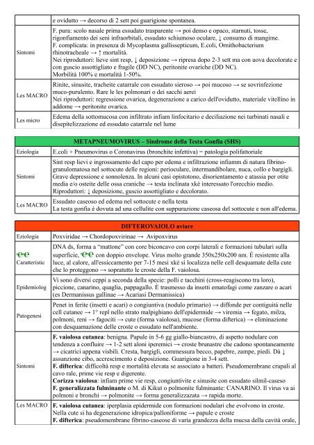 COLERAAV IA RE Pastaurellaceae → Pasteurella → P. multocida. 5 ...