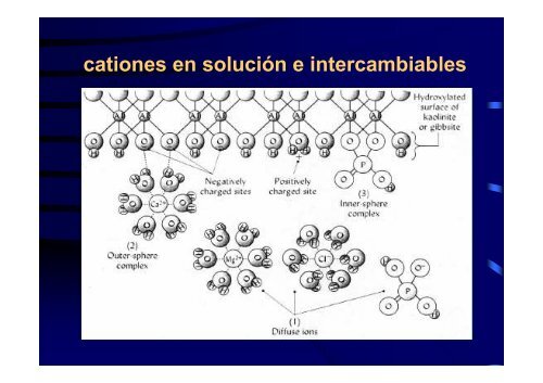 CATIONES Calcio – Magnesio - Potasio Sodio