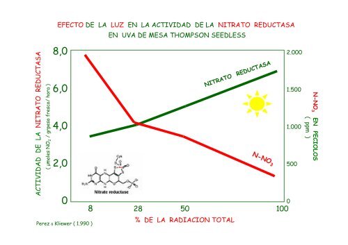 problematica del calcio en uva de mesa humberto - Cytoperu.com