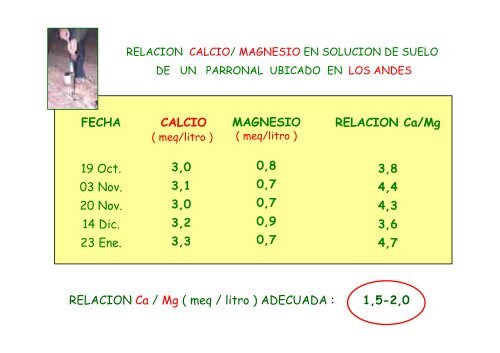 problematica del calcio en uva de mesa humberto - Cytoperu.com