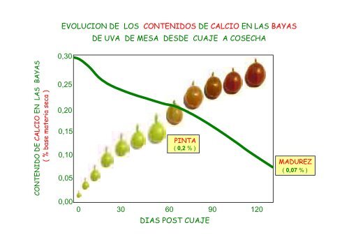 problematica del calcio en uva de mesa humberto - Cytoperu.com